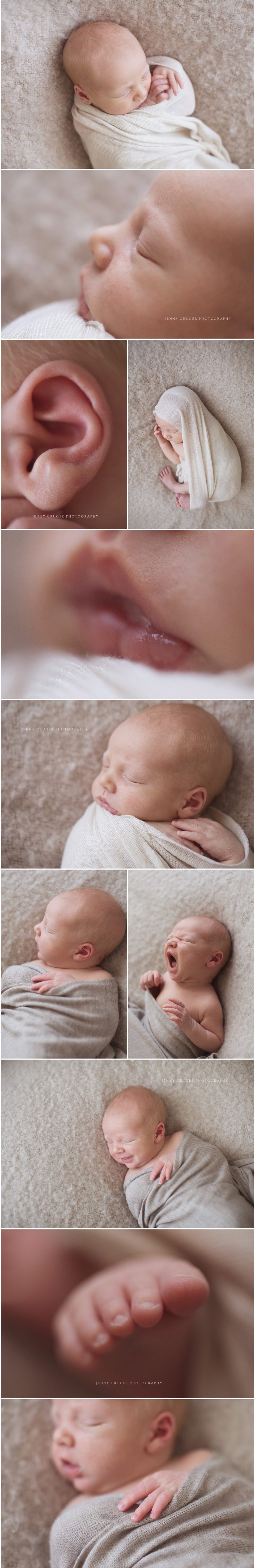 newborn photography franklin tn