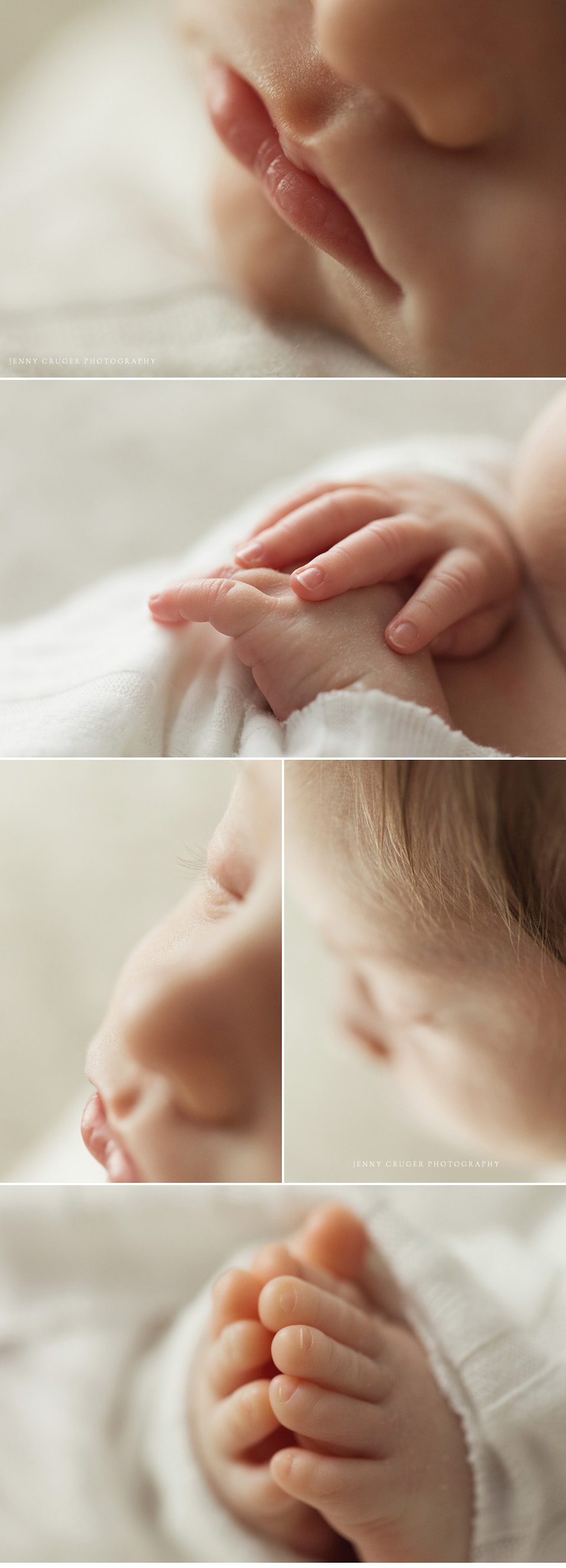 franklin newborn photography detail pictures newborn 