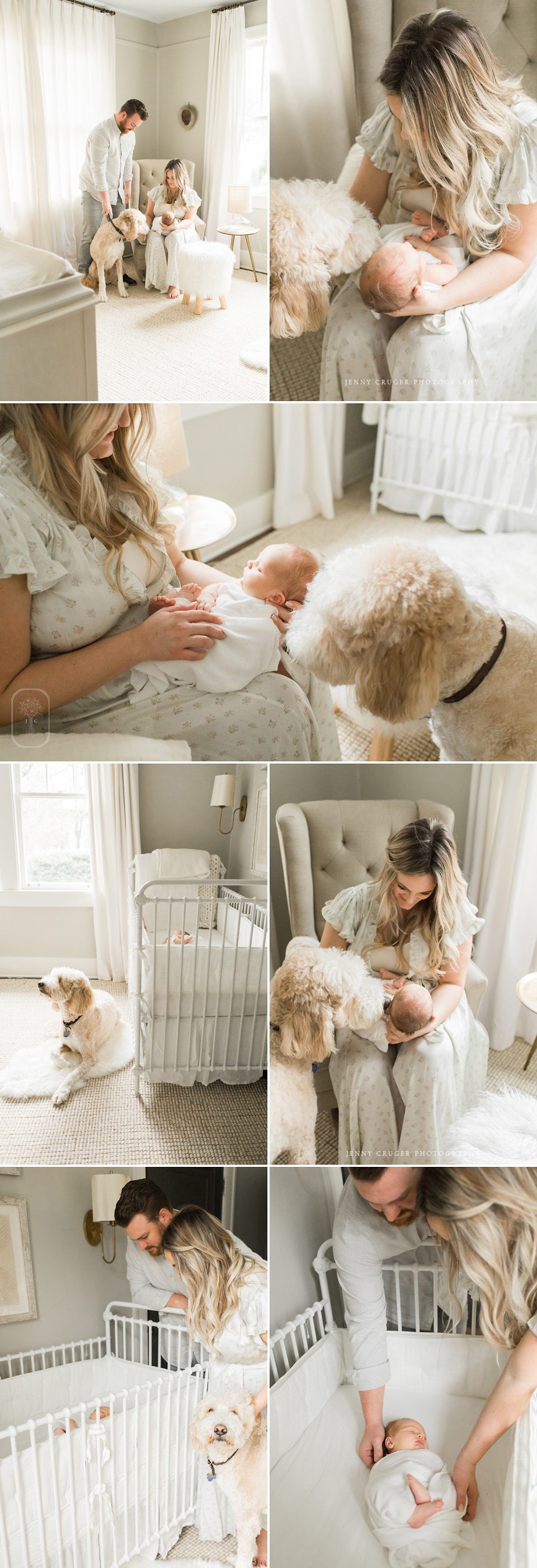 nashville newborn photography