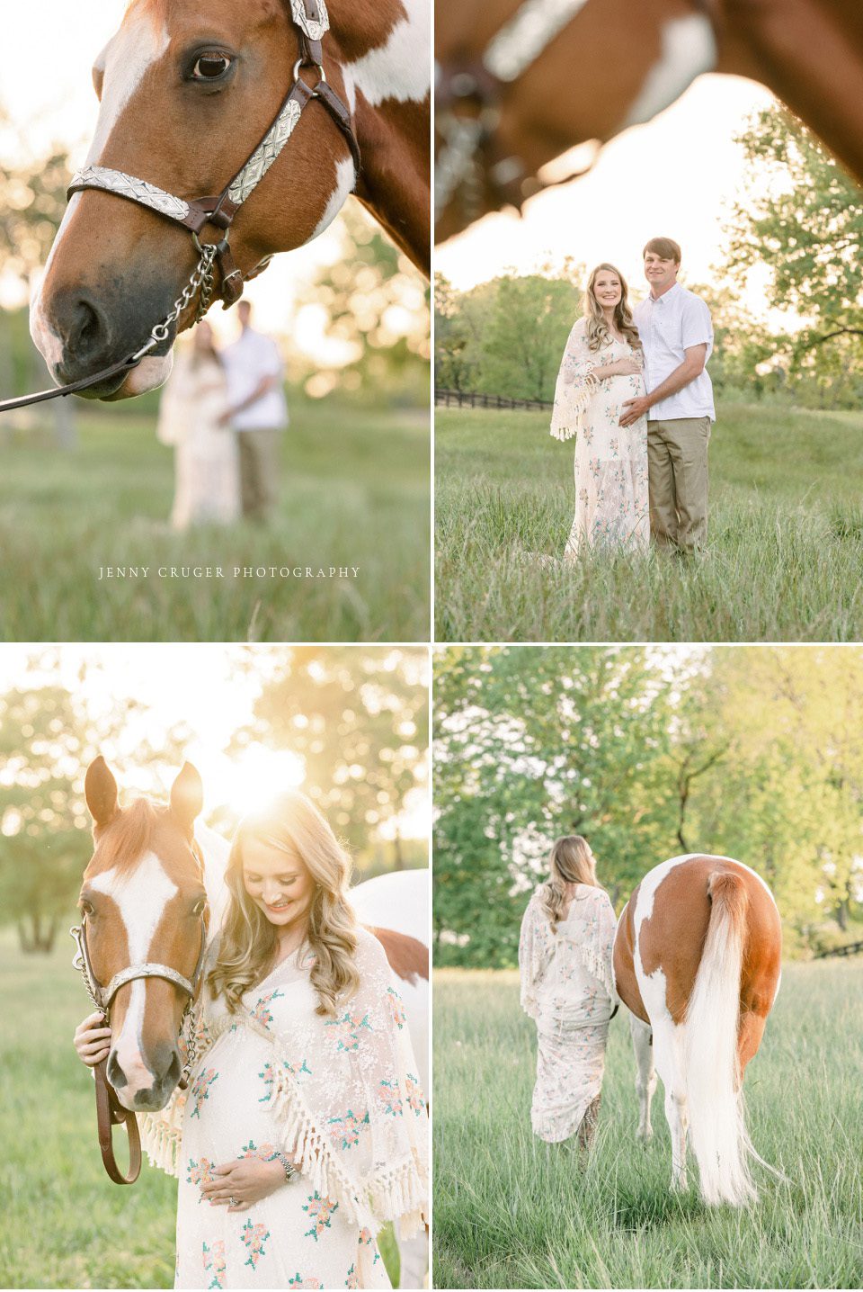 maternity session with horses