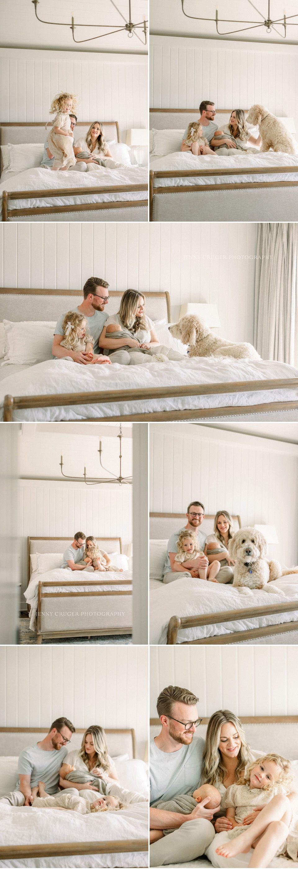 newborn photography in neutral master bedroom with dog and sibling