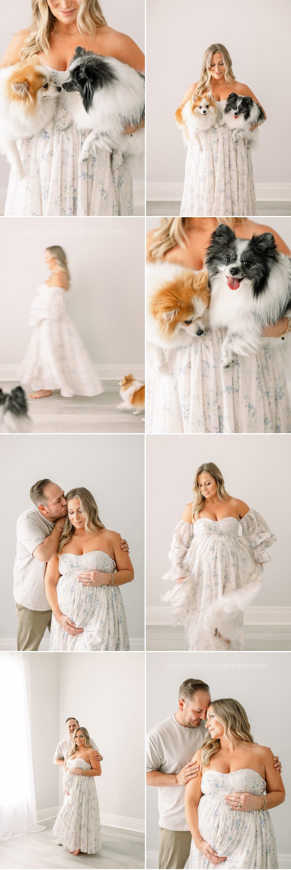 maternity session with small dogs